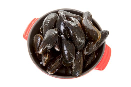 raw uncooked mussels in red casserole over white background