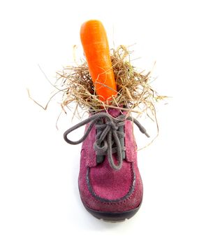 purple little children's shoe with carrot, traditional for Sinterklaas in the Netherlands over white background