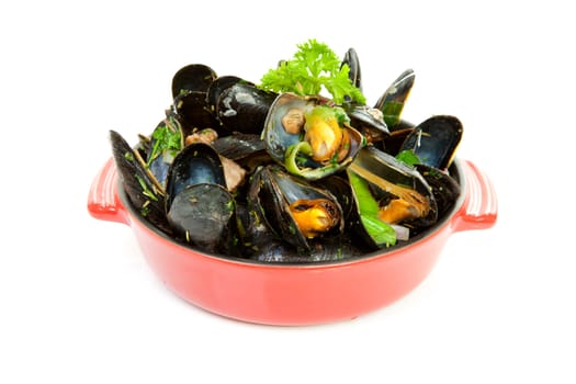 cooked mussels in red casserole over white background