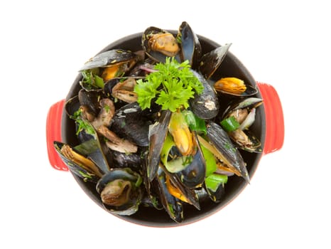 cooked mussels in red casserole over white background