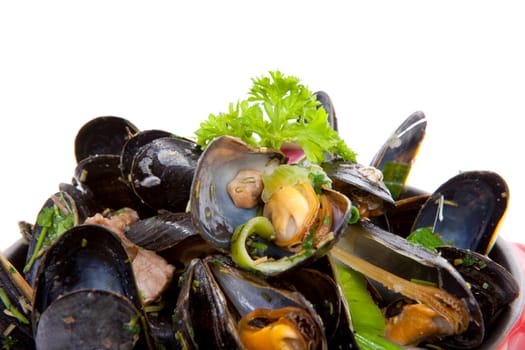 pile of cooked mussels in red casserole over white background