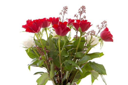 bouquet of red roses in closeup over white background