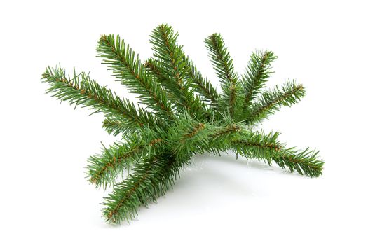 plastic Bare twig from christmas tree isolated on white background
