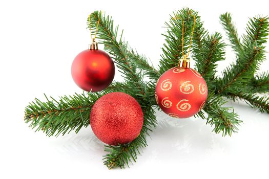 branch of christmas tree with red balls over white background