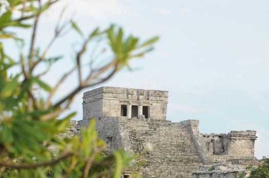 Mayan Temple named The Castle that is located in Mexico