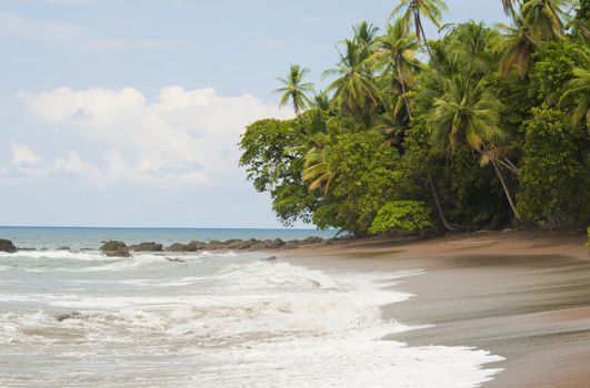 Deserted beach at Drake Bay in Costa Rica.