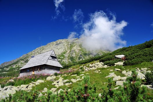 The wooden house in the mountains