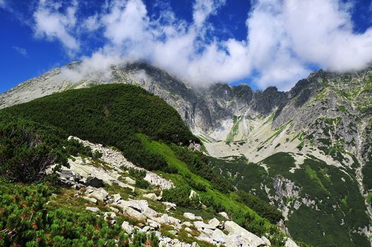 Mountains covered with clouds