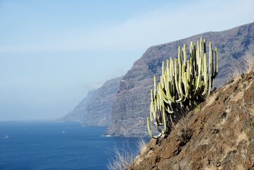 coas of los gigantos on the spanish island tenerife