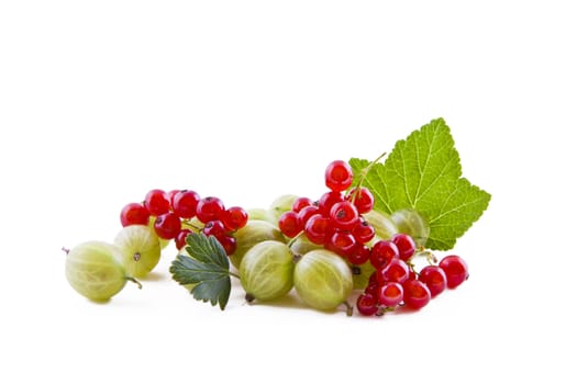 Red currants and green gooseberry isolated on white background, fresh fruits