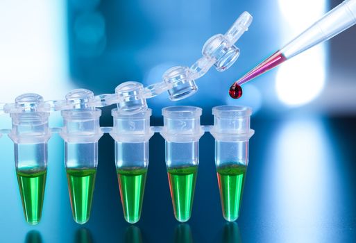 Loading of PCR samples in numbered plastic tubes