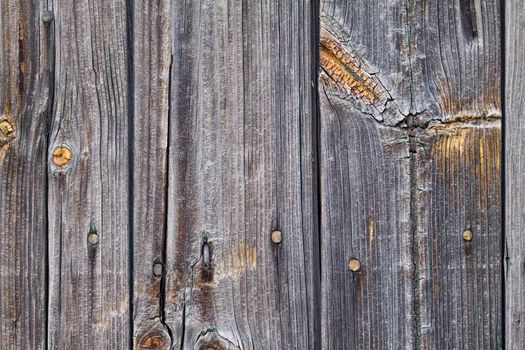 Close up on the brown wooden knotted wall with nails and, background