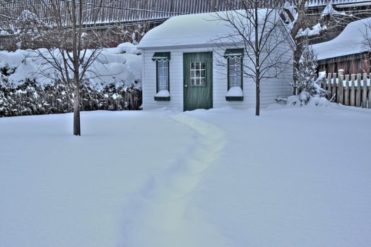 Snow path leading to back yard shed