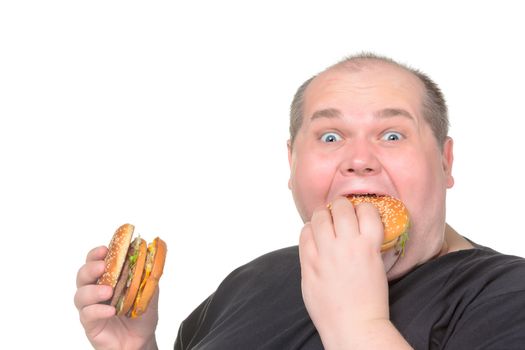 Fat Man Greedily Eating Hamburger, on white background