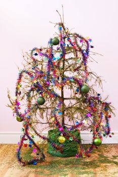 End of the holidays or other concept: dead fir Christmas tree with dried up needles all over the wood floor; star garland and ornaments left in the tree.