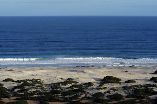 Great Australian bight marine parc