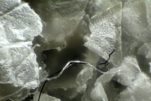 Skin under the microscope, background
