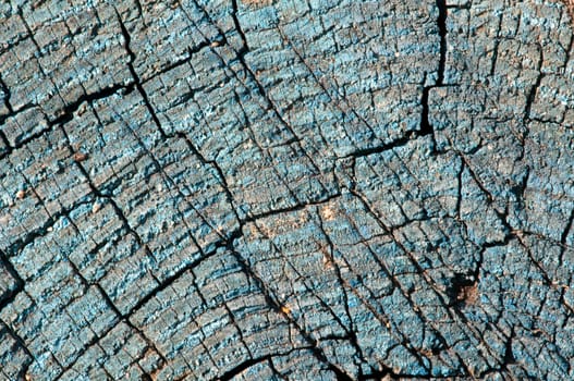 old wood texture