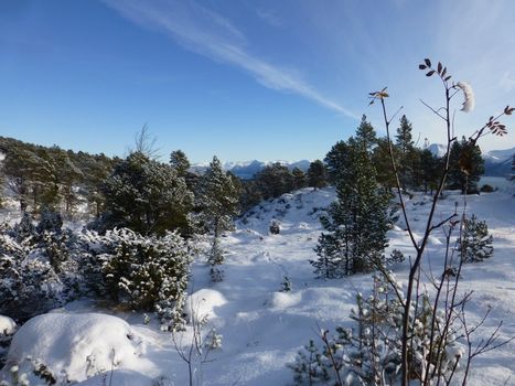 Winterpicture near Aalesund