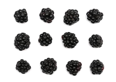 blackberry isolated on a white background