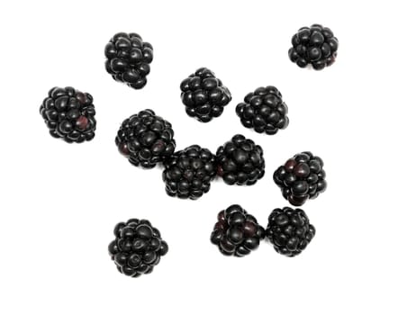 blackberry isolated on a white background