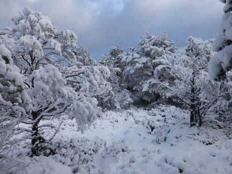 Heavy clouds full of snow