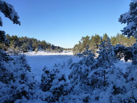 Winter 62 degrees north