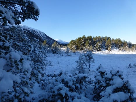 Winter 62 degrees north