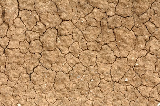 cracked clay soil into the dry season