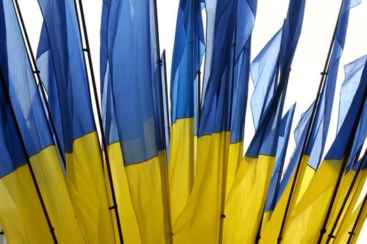 Ukraine national flag, background