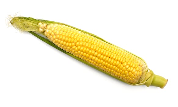 corn isolated on white