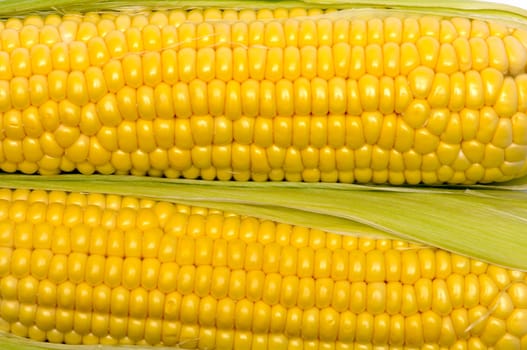 texture of yellow corn cobs