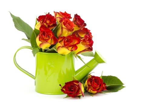 red and yellow roses
