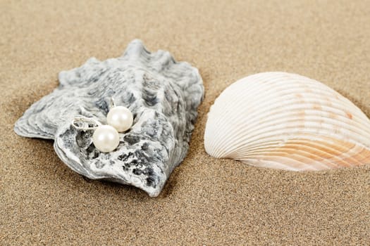 two pearl earrings and shells on sand background