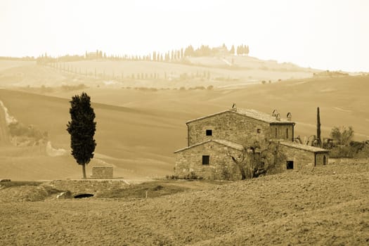 typical tuscan landscape