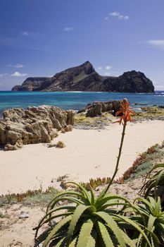 Ilheu da Cal island, Porto Santo, Madeira Islands, Portugal
