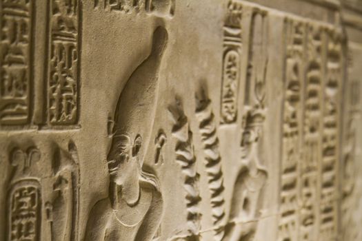 Closeup on ancient hierogyphs in egyptian temple