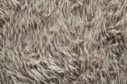 Gray fur texture, close-up. Useful as background