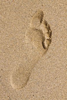Bare foot footprint on the sand by the sea