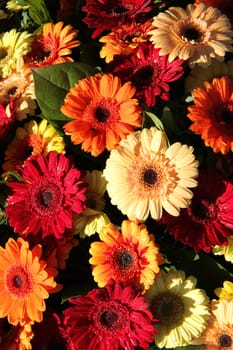 Gerbera flower arrangement in red, orange and yellow