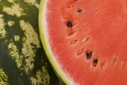 Fresh juicy watermelon, background fruit red and green 