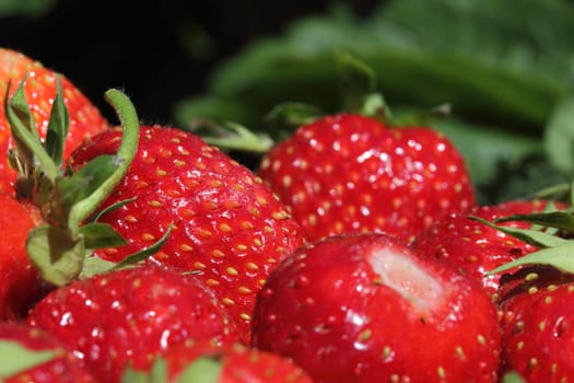 fresh, juicy and healthy strawberries