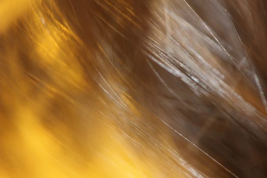 abstract yellow and brown background
