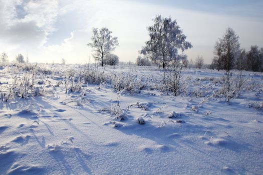 Evening winter park in snow against blue sky
