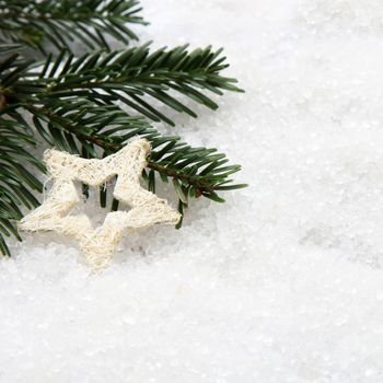 Pine needles and a white star Christmas ornament on snow