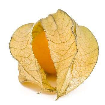 Fresh physalis fruit isolated on white background, jam-berry