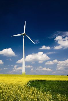 Windmill in the field of yellow rape, spring season