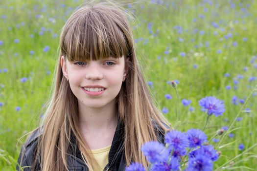 young girl in wild cornflower field