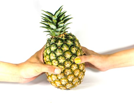 Colorful pineapple at a white background