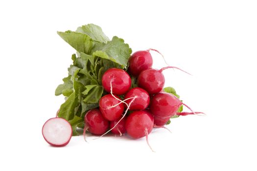 Bunch of fresh red radish, vegetable isolated on white background